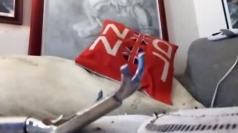 Marty online show from February 2026 09:24:02 PM