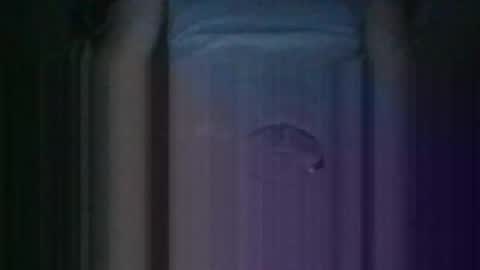 Snapshot of haitham419382 chatting on October 2025 12:36:02 PM Kiss cocky online show from October 2025 12:36:02 PM