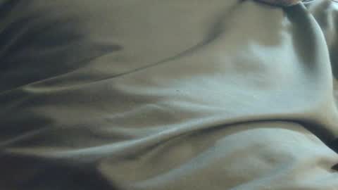 hamhead71 online show from December 2024 11:58:01 PM