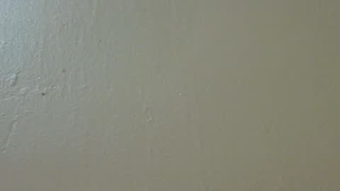 hamhead71 online show from February 2025 09:52:01 PM