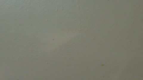 hamhead71 online show from February 2025 01:36:01 AM