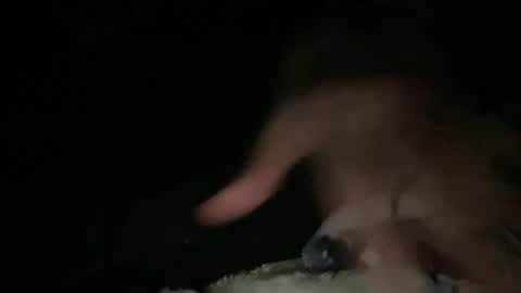 relax online show from March 2026 03:32:02 AM