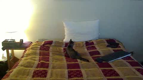 hammerthatthang73 online show from October 2025 06:53:01 PM