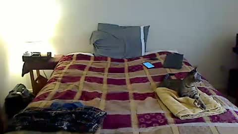 hammerthatthang73 online show from March 2026 09:30:02 PM