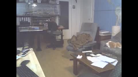 Snapshot of hamto65 chatting on December 2024 04:07:02 PM Prefer men 80 online show from December 2024 04:07:02 PM