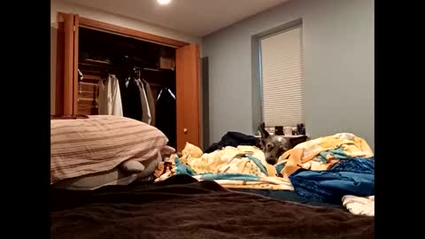 Snapshot of handsomedaddy198923 chatting on October 2025 07:36:02 PM handsomedaddy198923 online show from October 2025 07:36:02 PM