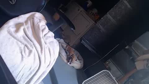 handystud33 online show from June 2026 04:01:01 PM