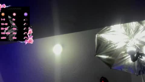 Snapshot of hanna_wish chatting on November 2025 01:34:02 PM Hanna online show from November 2025 01:34:02 PM