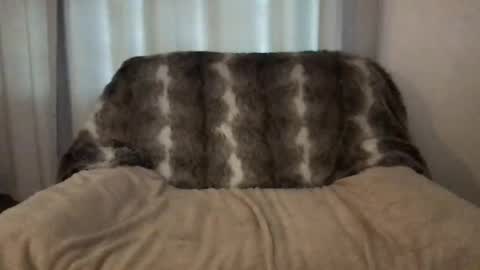 Snapshot of hannahsometimes694u chatting on March 2026 08:14:02 AM hannahsometimes694u online show from March 2026 08:14:02 AM