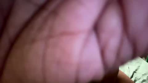 hans300988 online show from July 2026 11:18:02 PM