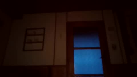 hanzik1954 online show from May 2026 06:38:01 PM
