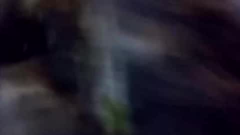 happydick69a online show from October 2025 01:29:02 PM