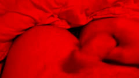 Snapshot of hapyending960 chatting on March 2026 06:12:02 PM Small things matters online show from March 2026 06:12:02 PM