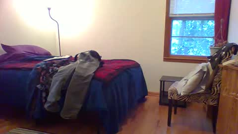 Hardy-Har online show from December 2025 10:26:01 PM