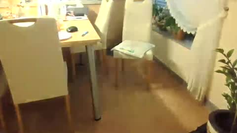 harald1234 online show from July 2026 01:18:02 PM