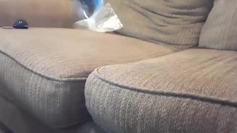 Snapshot of hardcock2share chatting on February 2025 10:55:02 PM hardcock2share online show from February 2025 10:55:02 PM