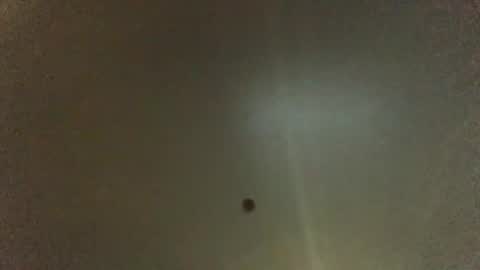 For You online show from February 2025 08:31:02 AM