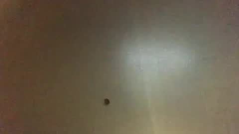 For You online show from March 2025 10:57:01 AM