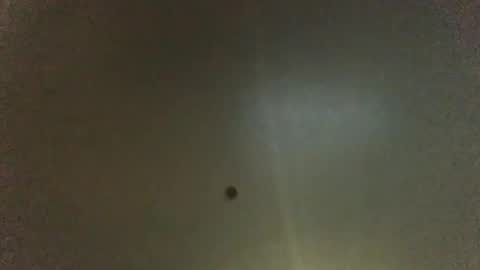 For You online show from January 2026 08:28:02 AM