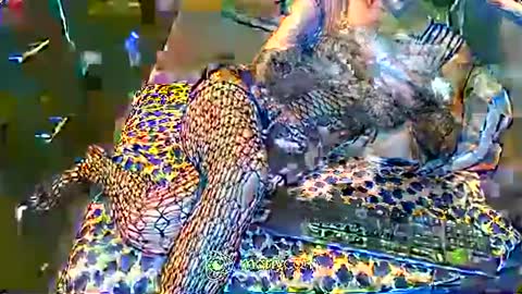 Snapshot of hardfucking_mistress chatting on February 2025 12:46:02 PM Irina online show from February 2025 12:46:02 PM