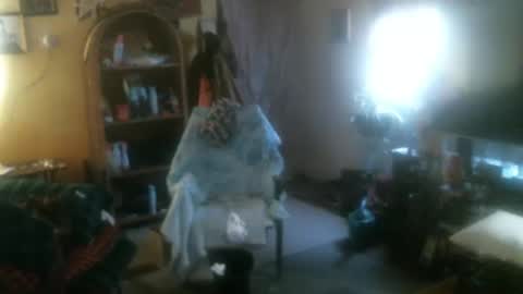 john nobles online show from November 2025 06:35:02 PM