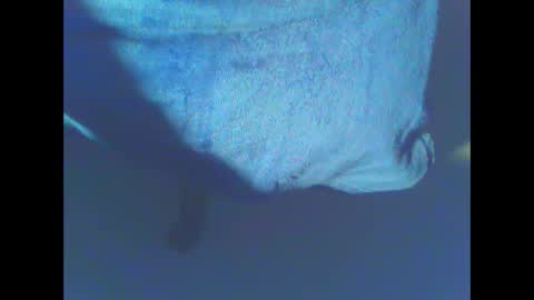 hardning online show from December 2024 05:12:02 AM