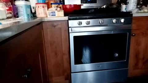 Snapshot of hardup57 chatting on February 2025 01:44:02 AM hardup57 online show from February 2025 01:44:02 AM