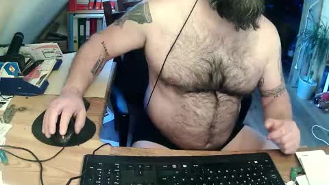 harleywerner online show from March 2026 06:31:02 AM