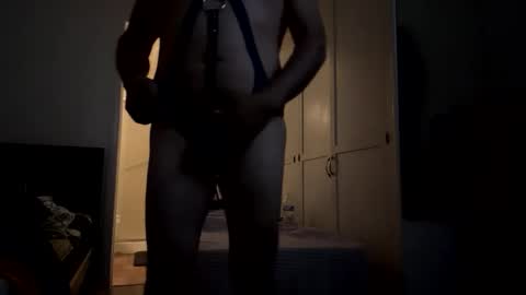 harnessman69 online show from November 2025 08:46:02 AM