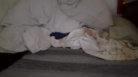 Snapshot of harry1cannary chatting on October 2025 08:22:02 AM harry1cannary online show from October 2025 08:22:02 AM