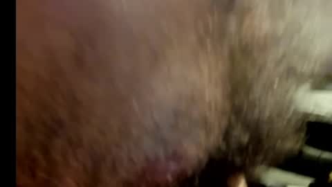 Snapshot of harry_banana chatting on January 2025 10:56:01 PM harry_banana online show from January 2025 10:56:01 PM