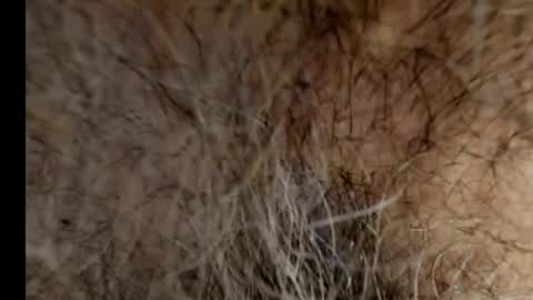 Snapshot of harry_banana chatting on February 2025 08:40:02 AM harry_banana online show from February 2025 08:40:02 AM