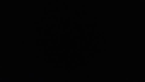 OMAR online show from January 2025 06:45:02 PM