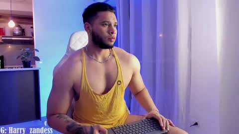 Harry Zandes online show from February 2025 05:34:02 AM