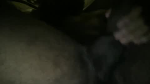 harrypahoot123 online show from November 2025 08:14:02 AM