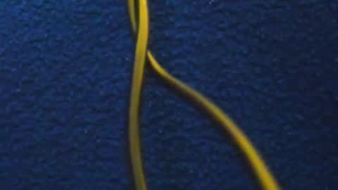Snapshot of hathor_01_ chatting on March 2025 11:49:02 AM andres online show from March 2025 11:49:02 AM