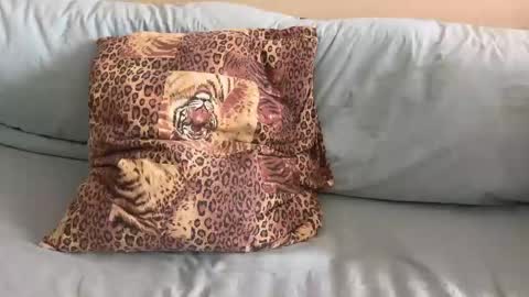 havedream1m online show from February 2026 10:08:02 AM