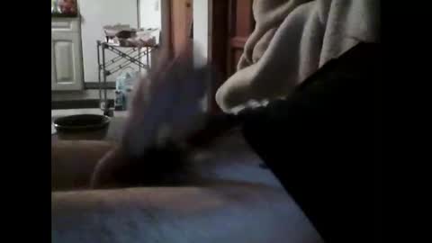 Snapshot of havier282874 chatting on April 2026 09:37:02 PM havier282874 online show from April 2026 09:37:02 PM