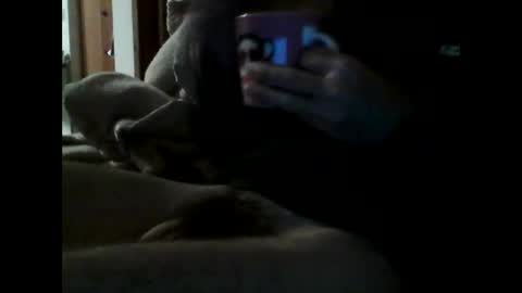 Snapshot of havier282874 chatting on April 2026 07:29:02 PM havier282874 online show from April 2026 07:29:02 PM