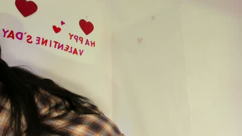 Snapshot of hayamikioto chatting on February 2025 12:48:02 PM Hayami online show from February 2025 12:48:02 PM