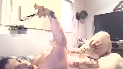 Snapshot of hazelbasil32728 chatting on October 2025 07:25:01 PM hazelbasil32728 online show from October 2025 07:25:01 PM