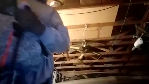 hbdj2164 online show from December 2024 11:50:02 AM