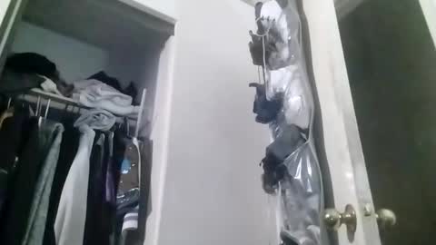 hbdj2164 online show from December 2024 09:11:01 AM