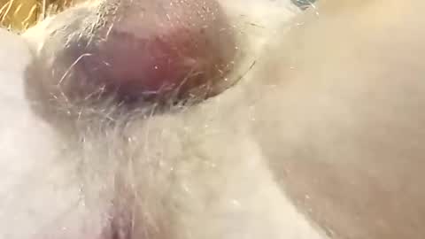 hcross2448 online show from February 2025 03:01:02 AM