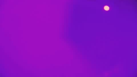 heidikendal online show from February 2026 03:22:01 PM