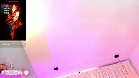              online show from February 2025 09:11:02 PM