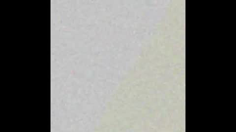 Snapshot of helenebird chatting on December 2024 08:55:01 PM   online show from December 2024 08:55:01 PM