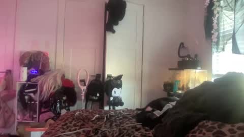 Bunnie Rotz online show from November 2025 06:19:01 PM