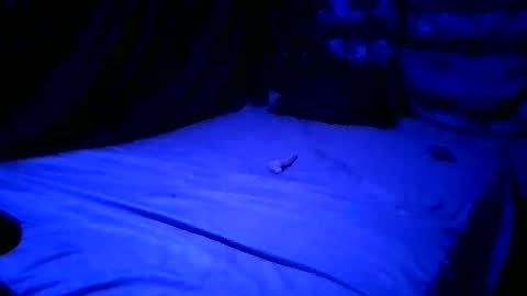 Snapshot of hellsxxsissy chatting on April 2026 08:02:02 AM SissyNutsBustedCounter online show from April 2026 08:02:02 AM