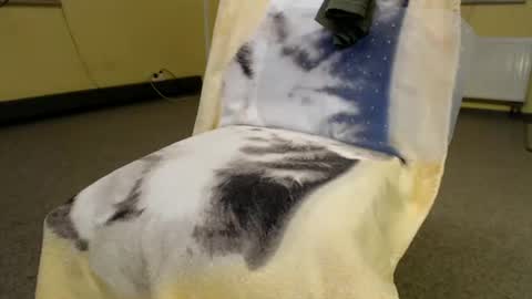 Snapshot of helvella chatting on June 2026 09:08:02 PM Helvell online show from June 2026 09:08:02 PM